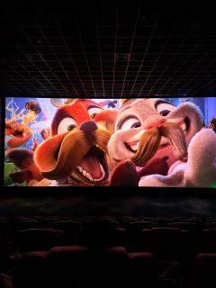 带着molly看疯狂动物城(⁎⁍̴̛ᴗ⁍̴̛⁎)