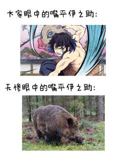 我看有人发梗图呢，我也凑个热闹