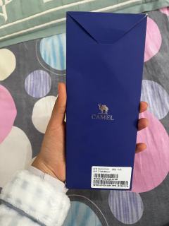 骆驼联名 王俊凯撕拉片