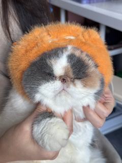 完美的小嘎2代同堂！开心🥳