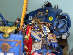 陆陆续续买了一批，如果不是非要买些改件，原生数量还能再多一点