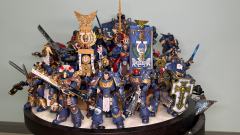 陆陆续续买了一批，如果不是非要买些改件，原生数量还能再多一点