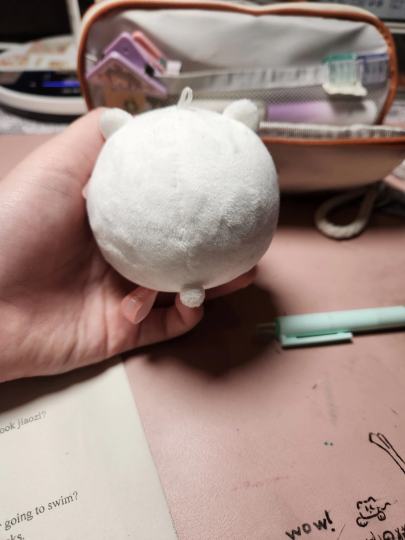 这是正版还是盗版的？豆包说是盗版的。我是在名创优品买的。