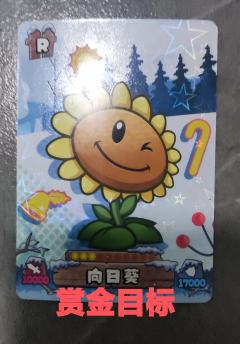 本局主角: 豌豆射手
你的投票决定他的行动
请往下看