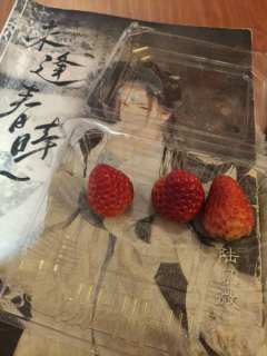 体验剧本:《未逢春时》
体验角色:陆见微
体验店家:第二人生