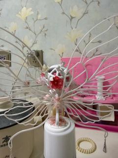 最近自由的翎羽这个改娃真的很火！
忍不住动手尝试了一下 
这