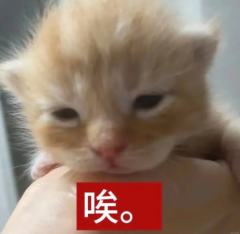 找搭子！
你是东半球，我是西半球，我们在一起就是整个地球。你