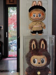 终于也是等到了泡泡玛特积分兑换=零元购
新款黑皮仔了
太香太