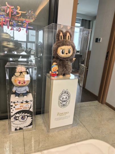 大首领和夏日透明保护罩