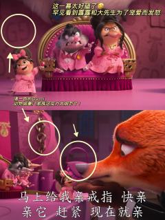 真的好爱《疯狂动物城2》中的露露这一角色‼️
啊啊啊谁懂，二