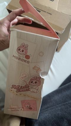 那么高贵的mokoko还用中通发货，直接到货就自动打开，包装