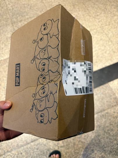 那么高贵的mokoko还用中通发货，直接到货就自动打开，包装都烂掉