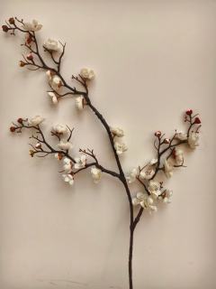 由衷感谢《碌神》,给25年收了个好尾,给了我自己一场救赎
-