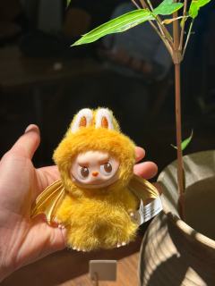 谁能拒绝这么可爱的皇冠👑Labubu呀🥹
拉布布皇冠👑