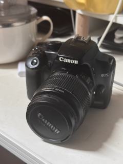 国乙展的宝子看过来！自带相机，超会抓互动瞬间和氛围感镜头，熟