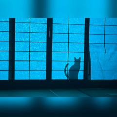 第一次玩莫慌的恐怖本哭了。真的一点都不恐怖，反而很温暖很温馨