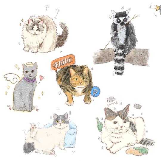 主页有抽选！！