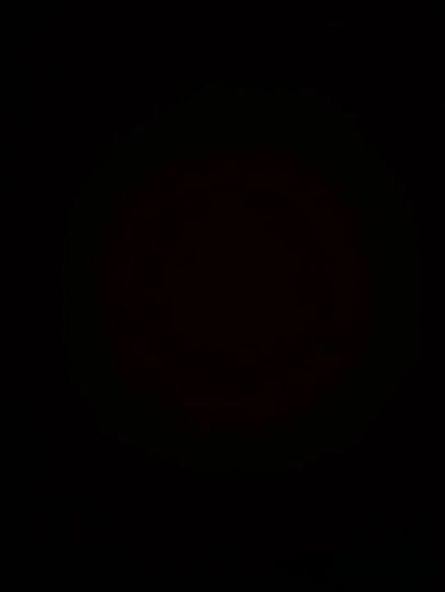 “爱意能跨越万物……”