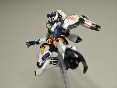 淘到的喷涂改色版本，这配色还真挺顺眼的，可动还真不错