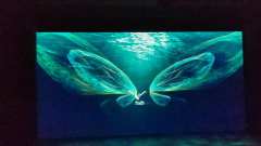 《叹春风》以刚柔并济的舞蹈语言，将东方男性的精神长卷徐徐展开