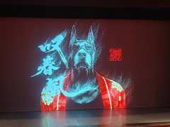 《叹春风》以刚柔并济的舞蹈语言，将东方男性的精神长卷徐徐展开