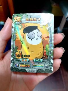 据说比较难抽到的卡，卡面还带有一点点光刻效果，这算是大龙工艺