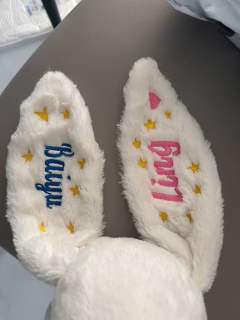 刺绣邦尼兔，价格实惠，保真保正