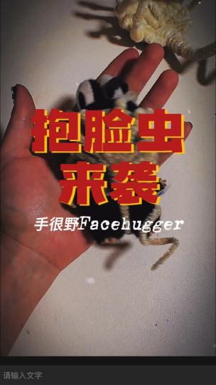 迷你labubu的专属抱脸虫～点击下方⬇️⬇️⬇️领养吧！