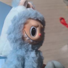 百亿补贴蹲了很久最后245下车 大神来看正不正 盒子还是预料