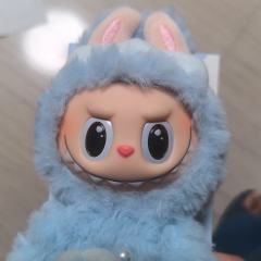 百亿补贴蹲了很久最后245下车 大神来看正不正 盒子还是预料