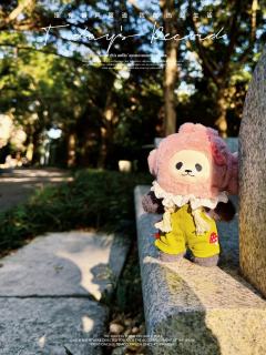 鲷鱼烧熊猫也是熊猫届顶流
超级可爱新出的搪胶毛绒

在上进和