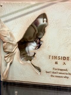 期待已久 終於入手