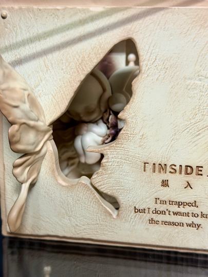 期待已久 終於入手