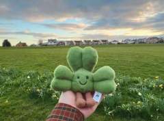 爱尔兰地区限定三叶草