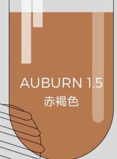 艺术精酿-会理石榴中式精酿啤酒
🔶原麦汁浓度：10°P  