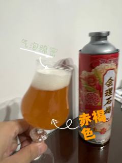 艺术精酿-会理石榴中式精酿啤酒
🔶原麦汁浓度：10°P  