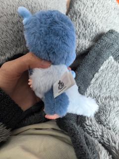 我喜欢这个大尾巴