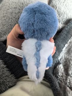 我喜欢这个大尾巴