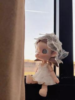 咱也是有Zsiga可动人偶的人喽，好喜欢😍
买好后直接丢地