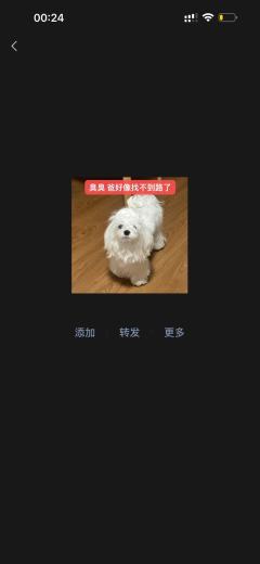 📍星辰阁·沉浸剧场
【演职人员】
🍺【郑钧】--旭旭
�