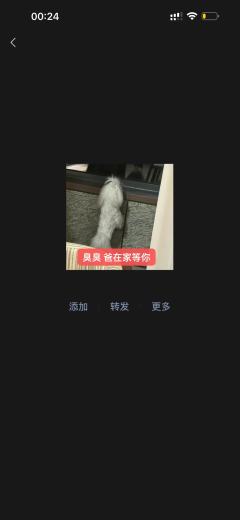 📍星辰阁·沉浸剧场
【演职人员】
🍺【郑钧】--旭旭
�