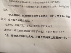 很喜欢蟪蛄的姬盲,打过两次,这次想补一下萤火视角,但是感觉有