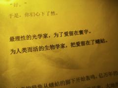 很喜欢蟪蛄的姬盲,打过两次,这次想补一下萤火视角,但是感觉有