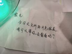 很喜欢蟪蛄的姬盲,打过两次,这次想补一下萤火视角,但是感觉有