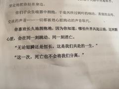 很喜欢蟪蛄的姬盲,打过两次,这次想补一下萤火视角,但是感觉有