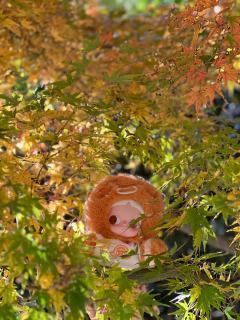 二代设计超级棒，软软糯糯，挂绳设计非常的人心。