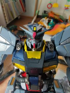 也是玩上了王八壳子，有自由和正义的这最强配件包还是逃不掉，又