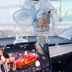 这些圣诞大漂亮们看个够