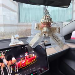 这些圣诞大漂亮们看个够