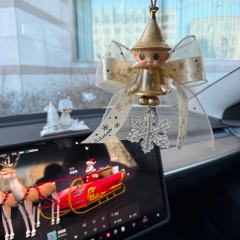 这些圣诞大漂亮们看个够